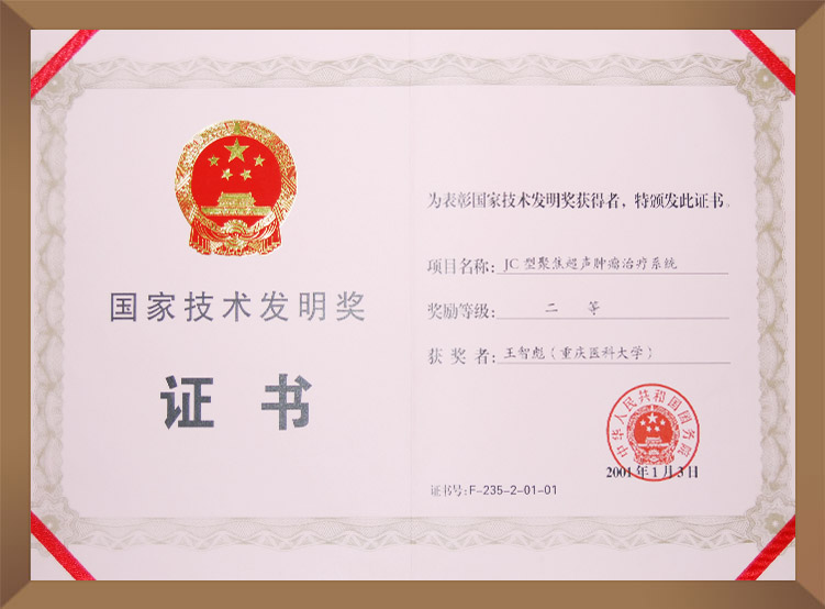 國家技術發明獎二等獎