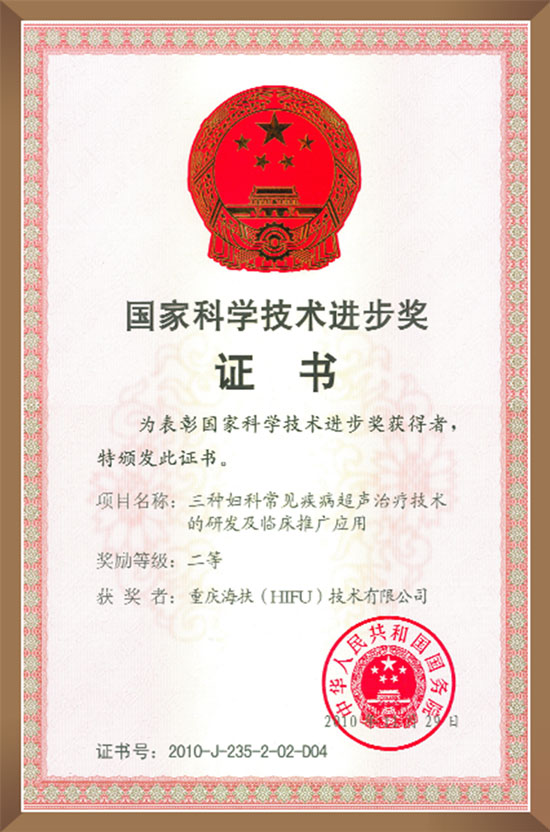 國家科技進步二等獎