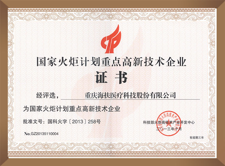 國家火炬計劃重點高新技術企業